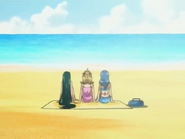Three Mermaid Princesses are now on the beach.