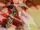 Drago (Bakugan Battle Planet)