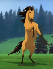Spirit the Horse