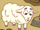 Sheep (Dora the Explorer)