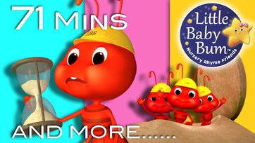 LBB Ants.jpg