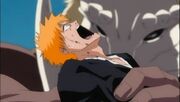 Bleach - Ichigo Kurosaki 214