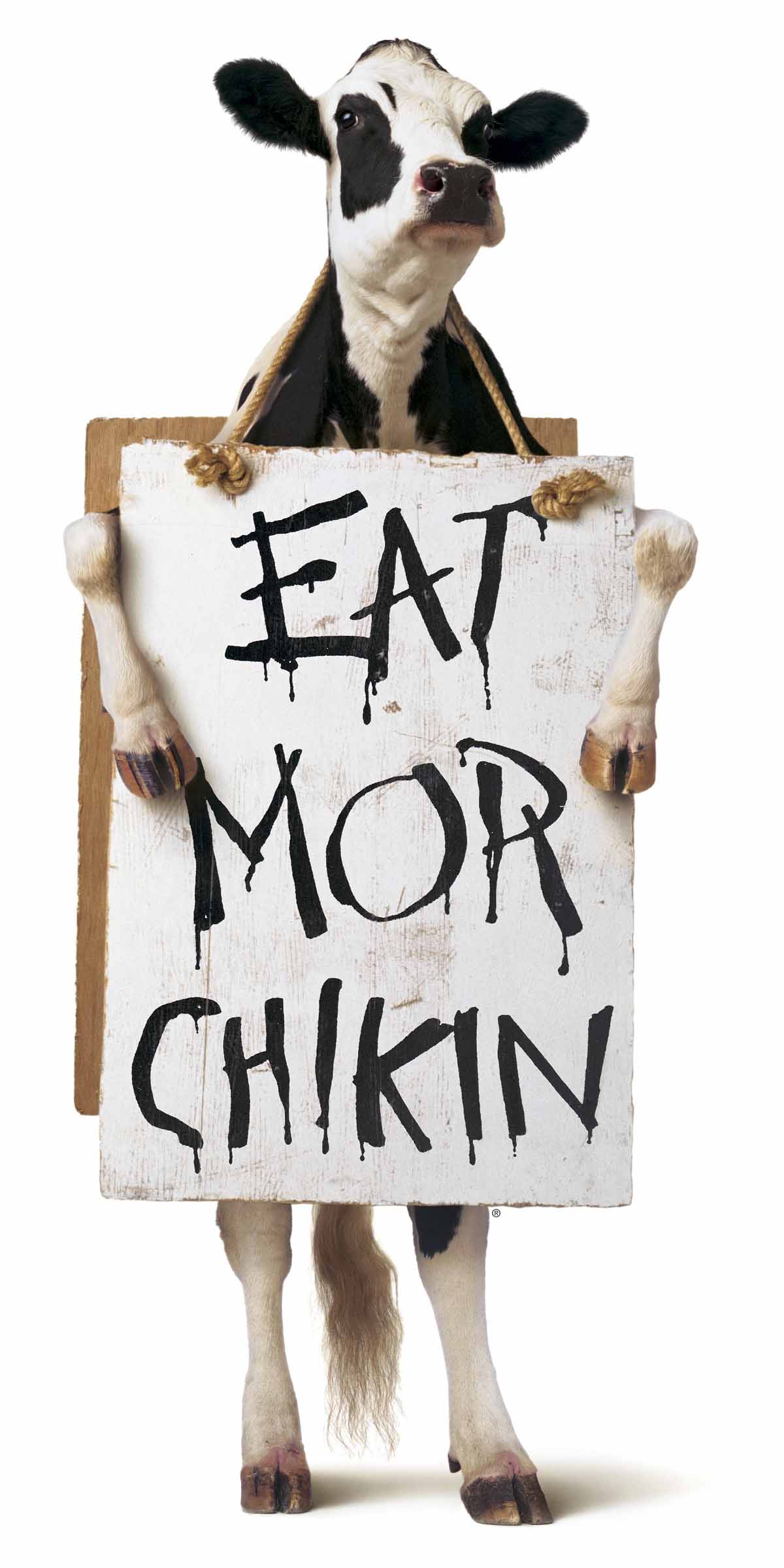 chick fil a logo cow