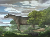 Paraceratherium