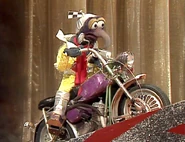 Gonzo on a motorcycle