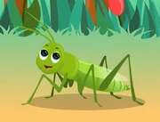 Appuseries Grasshopper
