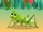 Grasshopper (Appuseries)