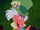 Mad Hatter (Disney)