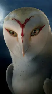 Nyra-legend-of-the-guardians-the-owls-of-ga% 27hoole-wallpaper