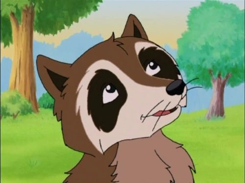 Raccoon (Franklin) | Fictional Characters Wiki | Fandom