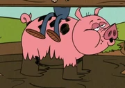 Hog (The Loud House)