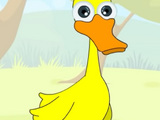 Duck (HooplaKidz)