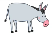 Donkey