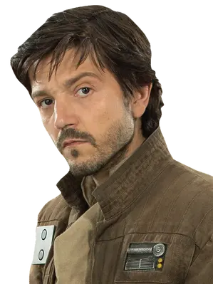 CassianAndor-Fathead