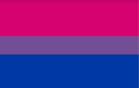 Bisexual pride flag.jpg