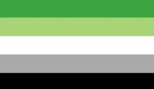 Aromantic Pride Flag