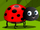Lady Bug (AppuSeries)