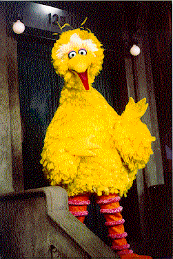 Big bird.gif