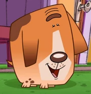 Doggy Day School Pedro