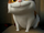 Pig (Home)