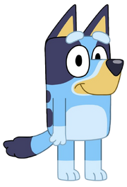 Bluey Heeler.png