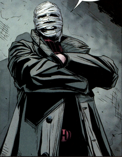 batman hush villain