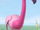 Flamingo (Monkey See Monkey Do)