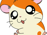 Hamtaro