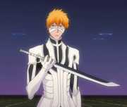 Bleach - Ichigo Kurosaki 19