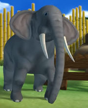 Elephant