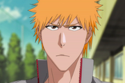 Bleach - Ichigo Kurosaki 52