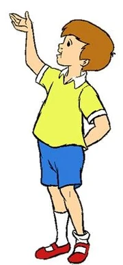 Cf9be771cdd373bda6f4560fda3d7d62--christopher-robin-robins