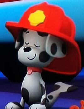 Dottie