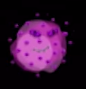 Purple Germ