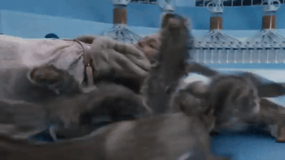 Down the Chute 1.gif