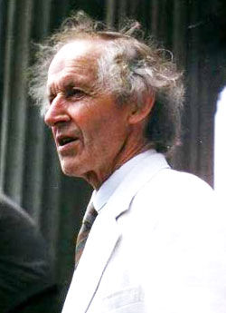 ProfDavid-Morris-RA.jpg