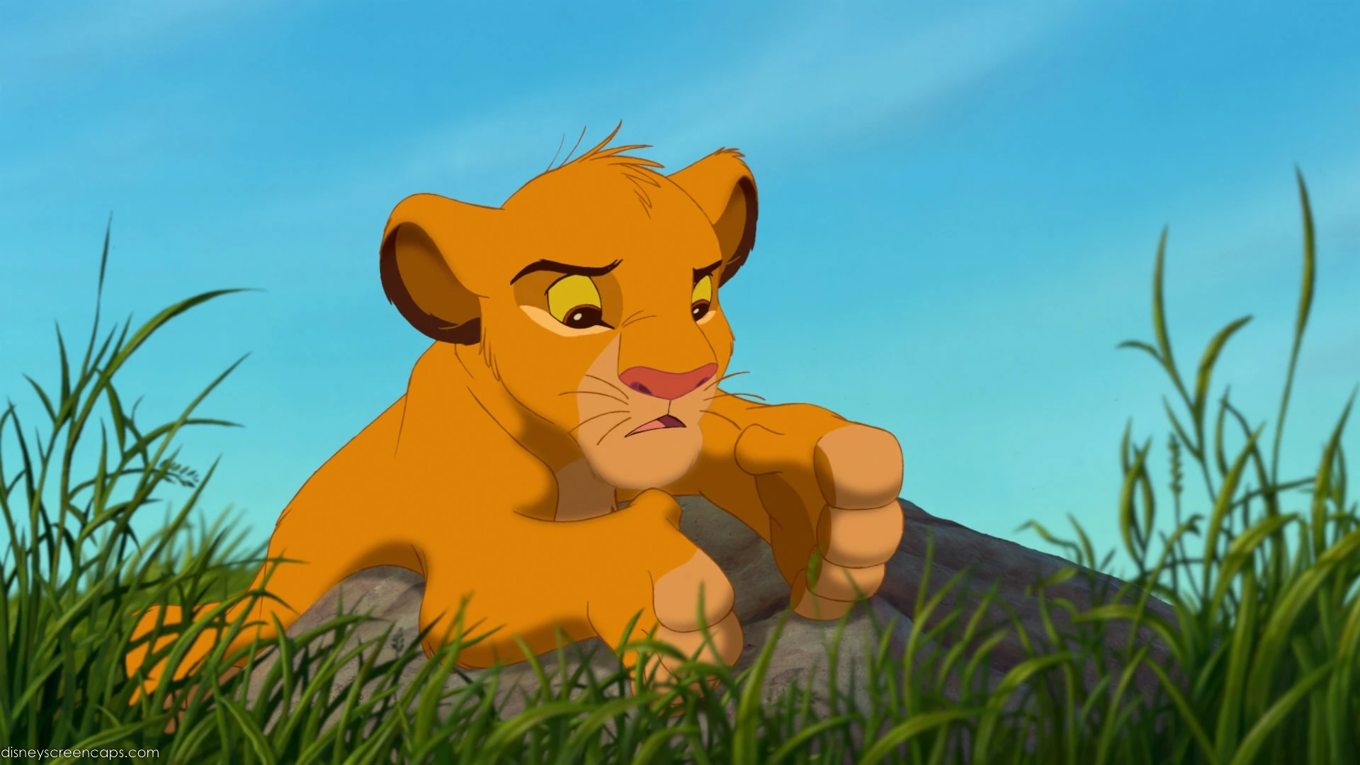 Simba | Charlie's Adventures Wiki | Fandom