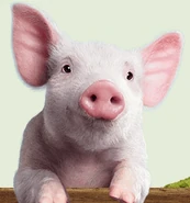 Wilbur.gif (30 KB) Wilbur