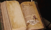 LDOanimazione1