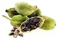 Cardamomo