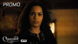 Guess Who s Coming to SafeSpace Seattle Charmed Wiki Fandom