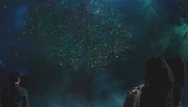 3x18 Black Amber Tree