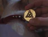 A Triquetra on Kit's collar. ("Something Wicca This Way Comes")