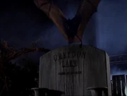 Paige shapeshifted as a bat.