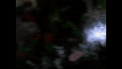 Billie deviation.gif