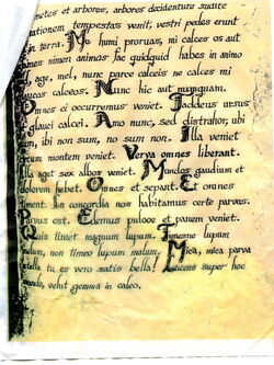 LatinNellScan2