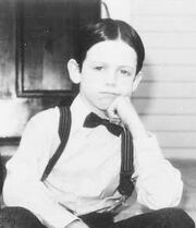 Bug Hall Alfalfa