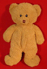 Wyatt's Teddy Bear