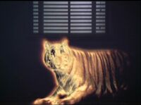 Projection pensée