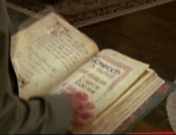 To Stretch the Imagination